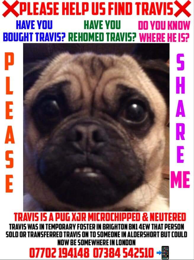 MissingPetsGB's tweet photo. #FINDTRAVIS
We need to make the search for TRAVIS bigger as not reaching as many people as needed to get info.
For some reason Travis isn't getting as much interest or shares as other missing pets. He could be anywhere in the country so it’s vital to reach out to the wider public https://t.co/82wDdb8VZp