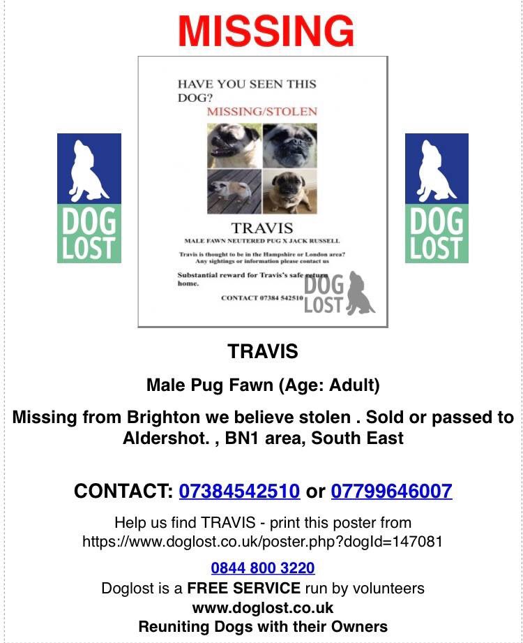 veryluckypugs's tweet photo. Facebook Page-Where Is Travis?❤️
HAVE YOU SEEN TRAVIS PLEASE?🙏Male Fawn Pug Cross From Brighton Could be in Aldershot Now😞@BlueFrenchie1 @vincerock6 @gelert01 @RachaelB100 @suedaycam @jaynecellison @thedogfinder @BrendaBlethyn @juliagarland73 @bunnylondon39  #FINDTRAVIS https://t.co/623D8l7XT2