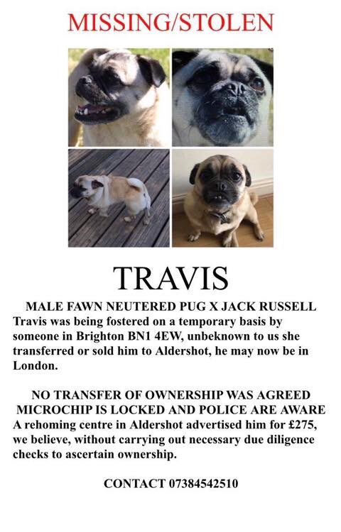 veryluckypugs's tweet photo. Facebook Page-Where Is Travis?❤️
HAVE YOU SEEN TRAVIS PLEASE?🙏Male Fawn Pug Cross From Brighton Could be in Aldershot Now😞@BlueFrenchie1 @vincerock6 @gelert01 @RachaelB100 @suedaycam @jaynecellison @thedogfinder @BrendaBlethyn @juliagarland73 @bunnylondon39  #FINDTRAVIS https://t.co/623D8l7XT2