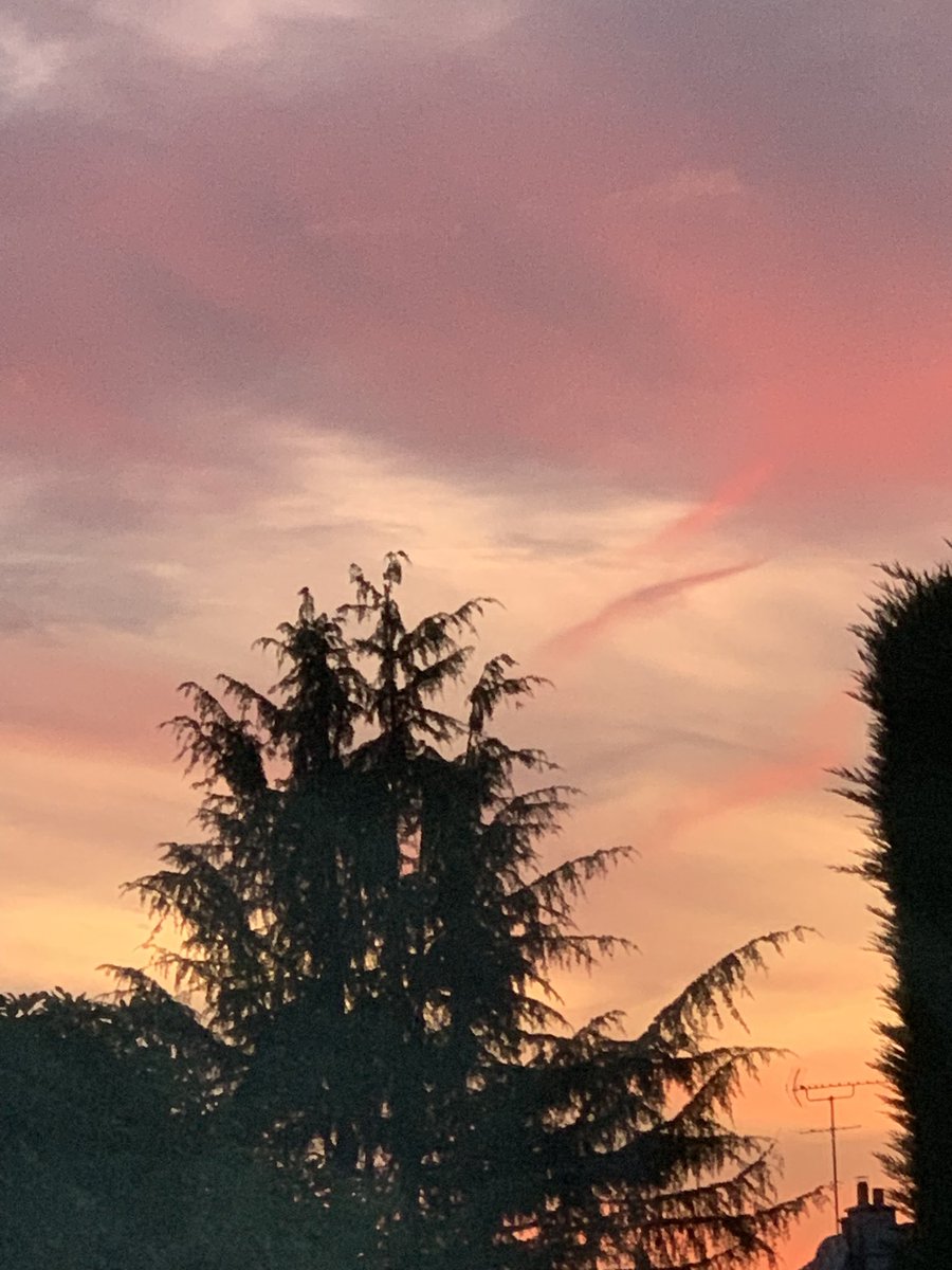 SGalais's tweet photo. #coucherdesoleil🌅
#colorsofday https://t.co/XXPdOUJJ8K