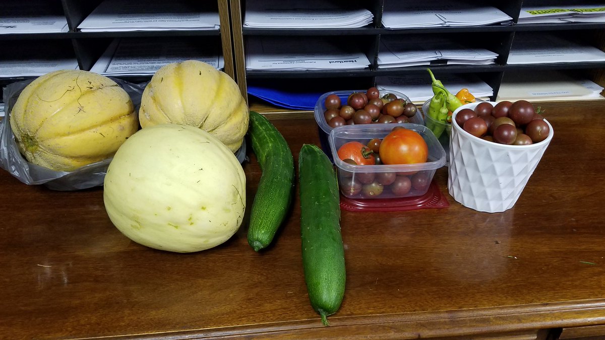 Some of our yield from the garden. 
#HealthyEating #healthyemployees