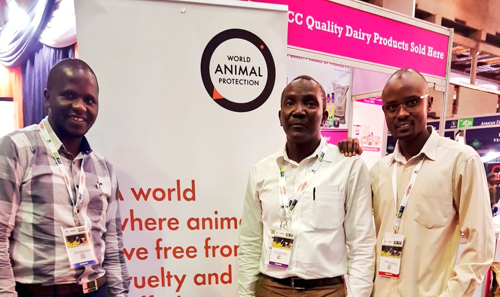 Very happy to be attending and sharing experiences with farmers in the Africa Dairy Conference and Exhibition and passing across the message:  healthy animals = healthy and wealthy humans

Thanks @MoveTheWorldAF @MoveTheWorld for facilitating attendance cc. @p_muinde @DocYamo