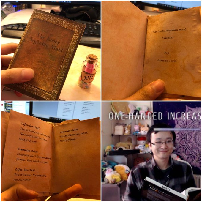 Oh I also made this, a miniature lusty argonian maid book from my favorite elder scrolls series, Skyrim