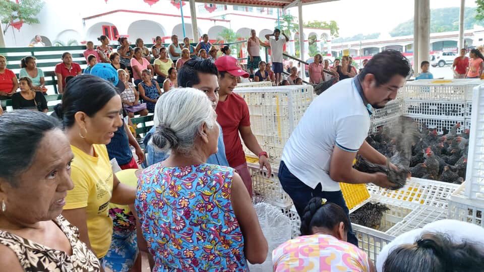 SanPedroMixt's tweet photo. El Presidente Municipal @FREDDYGILPINEDA en compañía de integrantes del H. Cabildo realizó la entrega del Proyecto Municipal “Aves Ponedoras”; al otorgar más de 3,000 gallinas de doble propósito, se empodera a la mujer san pedruna con fuentes de ingreso para sus familias. https://t.co/HQRE91LE81