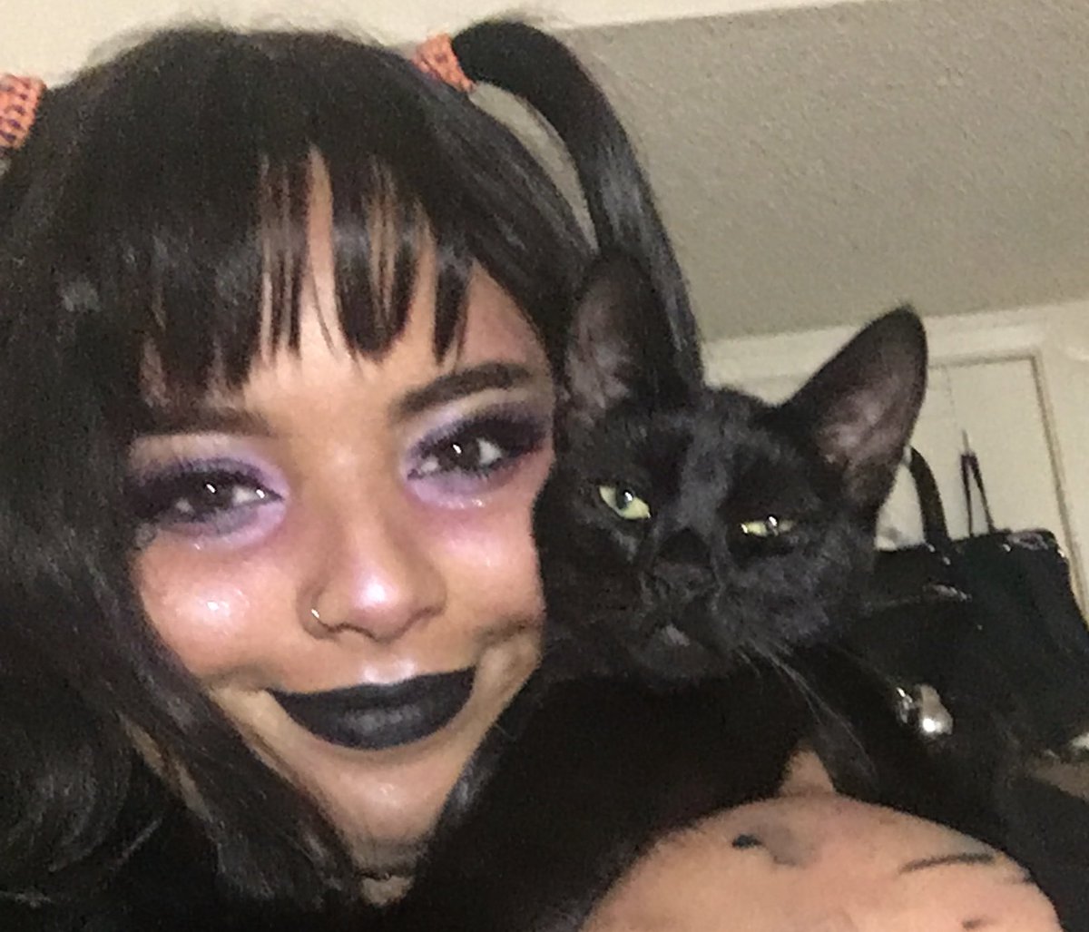 megsegg's tweet photo. HAPPY GOTCHA DAY TO MY SWEET BABY ANGEL OF DARKNESS !!!! 🖤✨🖤✨🖤✨🖤✨🖤✨🖤✨i cant believe it’s already been a year since i brought him home :,) this year has been rough. i don’t know if i would have made it through without mischief. i love him more than words can describe https://t.co/ng45s4dog7