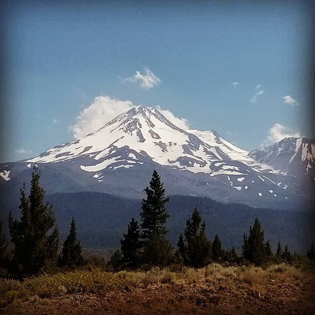 relaXsonic's tweet photo. Continuing our 5 year tradition of stopping at #MtShasta on our way to #BurningMan from #ShambhalaMusicFestival 
To bring it"s awesome  #
GlacierWater into the desert to keep us #Alive. https://t.co/W0rkbijSG1 https://t.co/u7VEx39zjI