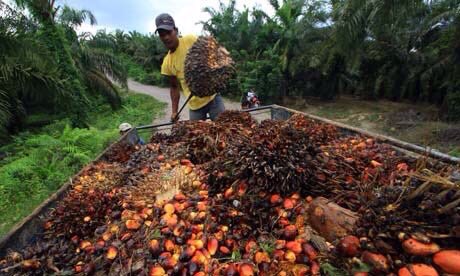 Goganorg's tweet photo. Nigeria was the highest producer of palm oil, until we abandoned our farms and started importing $500 million worth of palm oil to make soap,chemicals,etc in our factories. Now FedGovt will give billions in loans to SouthEast and SouthSouth farmers to meet our domestic demand. https://t.co/943sulOm5R