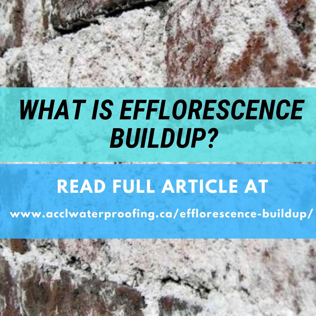 acclwaterproof2's tweet photo. Efflorescence can be found on the outside and inside of your basement walls, stone, stucco, concrete, or other building surfaces.

For more information visit: https://t.co/d1Ld89ZsxU

#accl #waterproofing #waterproofers #efflorescence #buildup #efflorescencebuildup #oshawa https://t.co/oSlDptYAqi