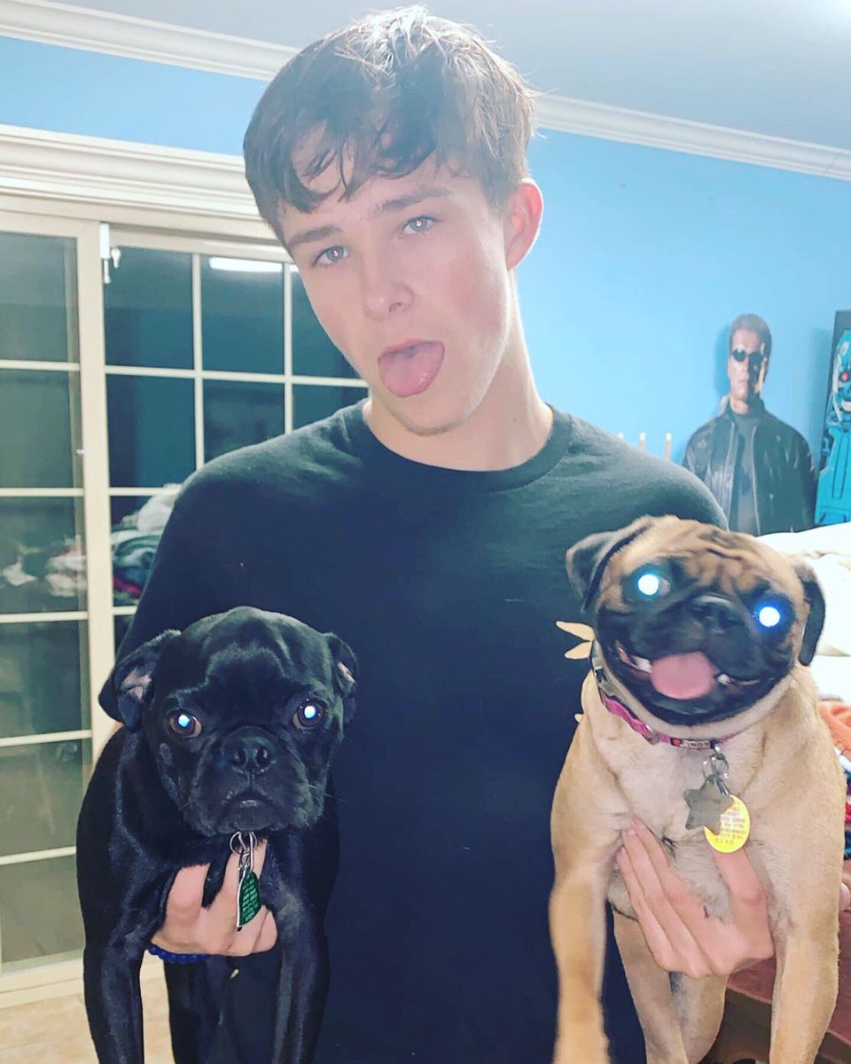 Awcanavan777's tweet image. My 2 moods represented through pugs😂 #dogs #mood