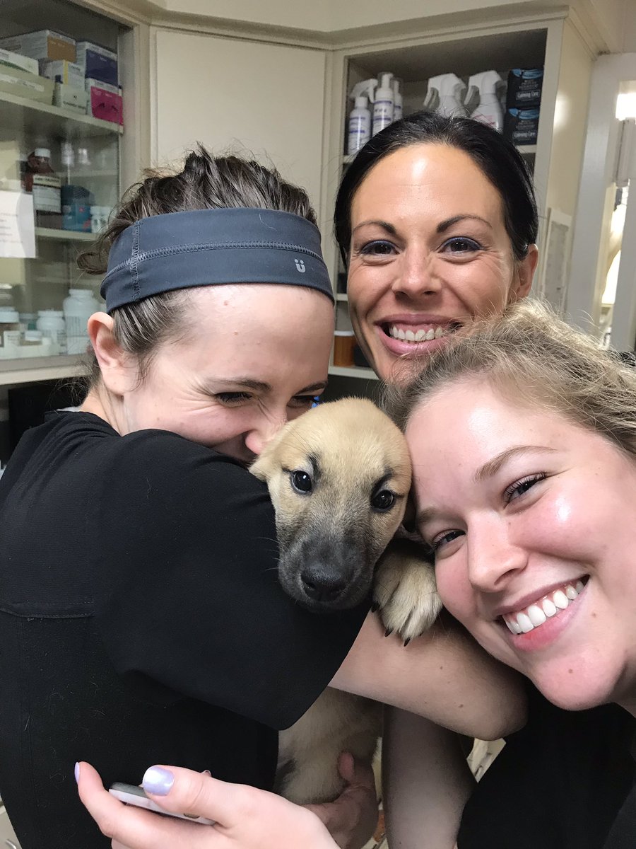 In case you ever wondered what really happens when we bring your pet to “the back”.... #truestory. #vetmed #playingwithpuppies #ilovemyjob