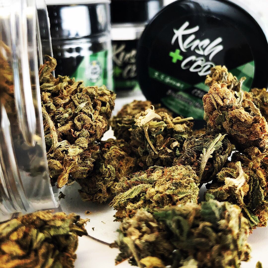 ___VIOS___'s tweet image. Our Kush+CBD Budz are the highest grade Hemp #CBD available. Grown &amp;amp; Packaged in the USA, our CBD flower helps reduce pain, anxiety, &amp;amp; is non-psychoactive! Available at ALL @KingsofVapor locations or online LINK IN PROFILE
#cannabidiol #cannasseur #kushbudz #cbdbudz #vioscbd