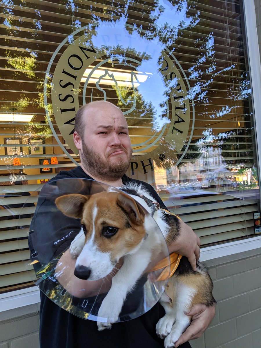 Adellelin's tweet photo. @todbot @wheresaddie @isislovecruft @realwolfpupy Except this #conedog https://t.co/qloDXveeth
