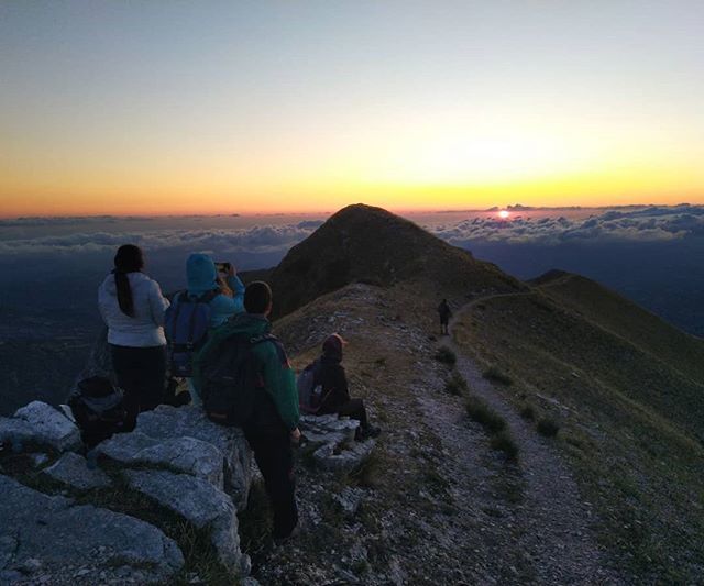 Il Ponticello Trek tweet media