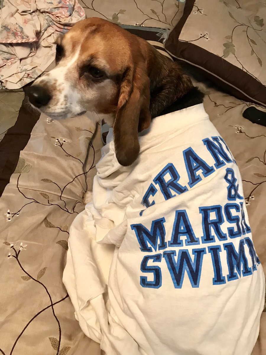 msdermody's tweet photo. #dipdogs Sally wants to try out for the F&M swim team! @FTouchsoccer https://t.co/ScjRxlbYPb