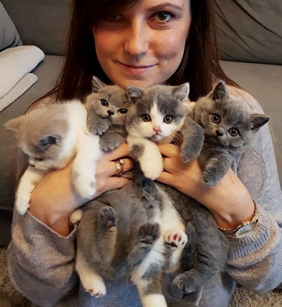 That's how happy cat moms must look like !! 😻😻