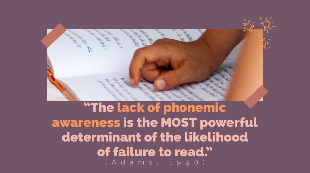 Hadly Bingham tweet media