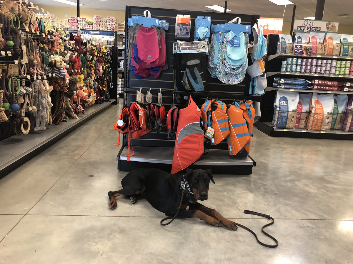 UnleashUnlim's tweet image. Ziva got an A+ on her field trip to @tomlinsonsfeed