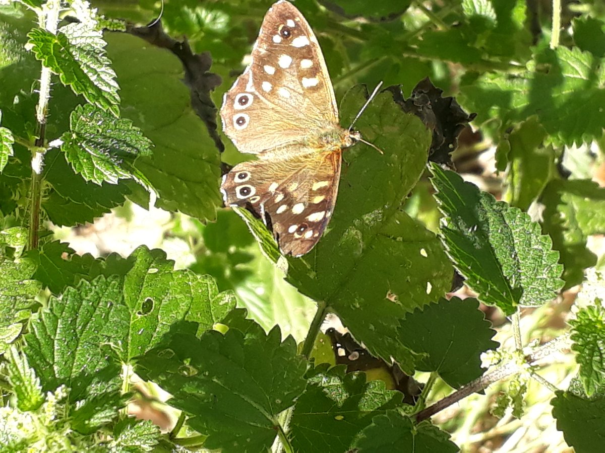 Down by the canal today