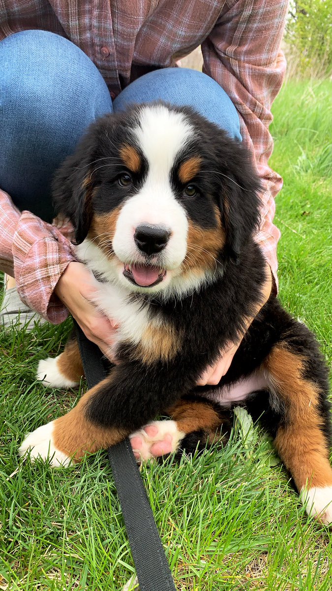 danielle_denton's tweet photo. Nothing like a little Berner throwback! #ThatMadeMyDay @CuteEmergency https://t.co/akXM2xXFyB