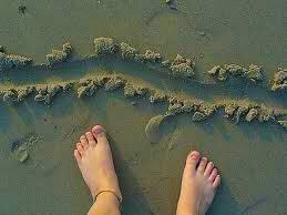 Michelle Richter tweet media