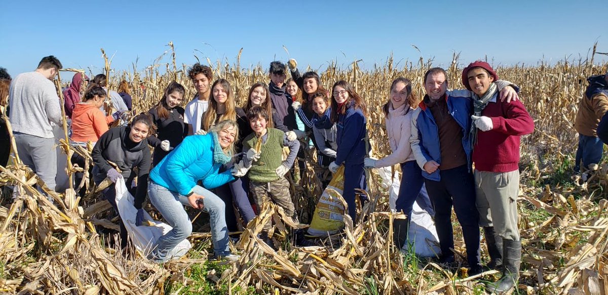 Gran 4ta EDICIÓN en Chascomús, con compromiso y esfuerzo 💪 150 chicos cosecharon la hectarea. Gracias Chicos y grandes por #serparte
.
.
.
#serparte #valores #valoresquealimentan #MovilizaRSE  #solidaridad #campo #lachocleada #voluntarios #chascomus #santander #somoscrea