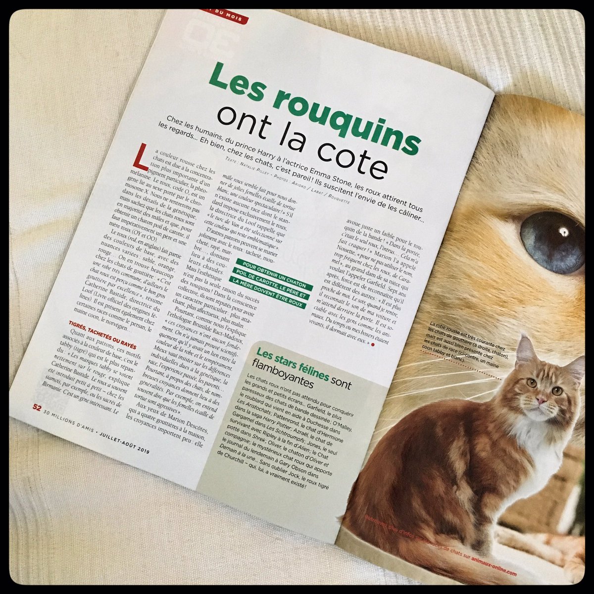 Chatroux Twitter Search Twitter