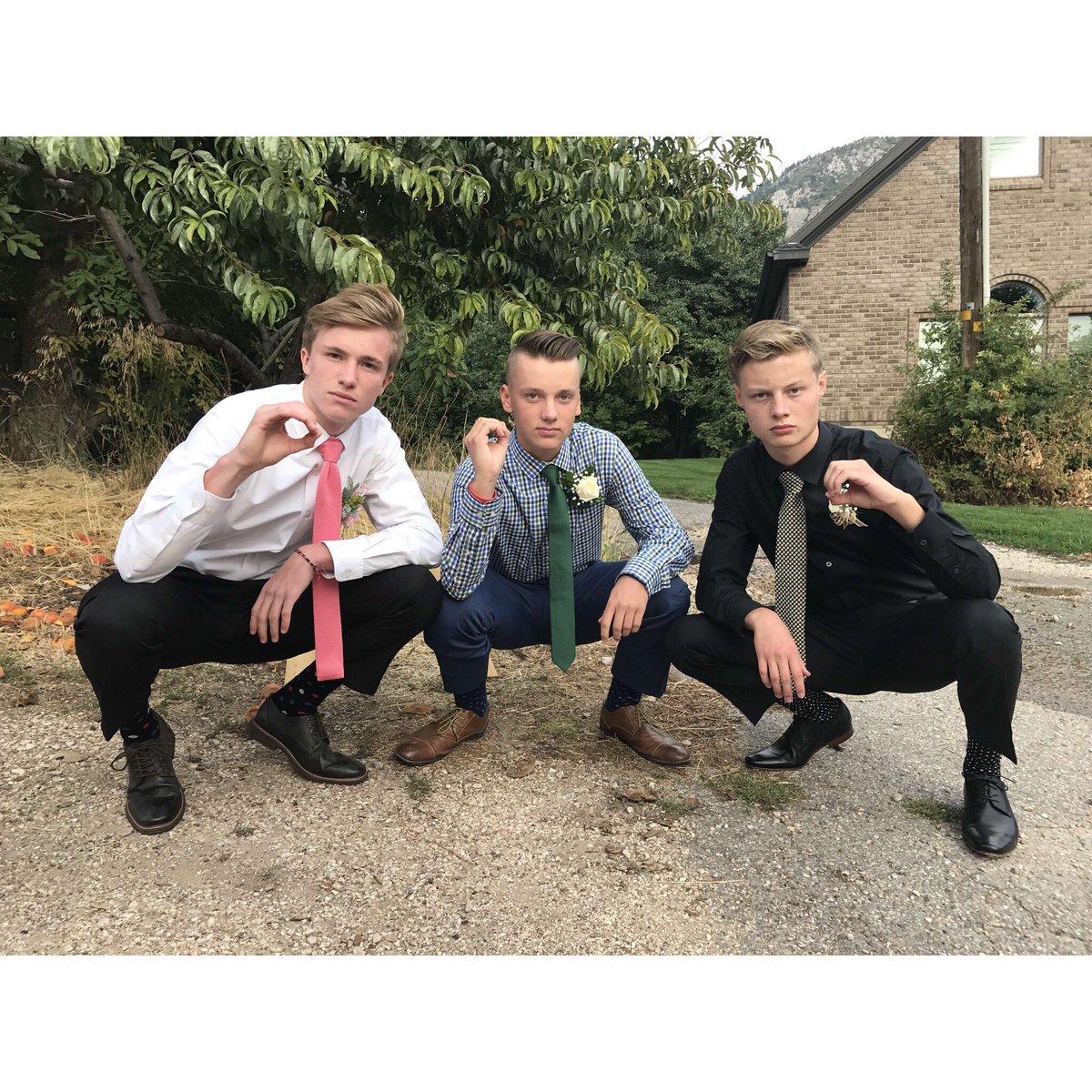 Colt 🤩 tweet media
