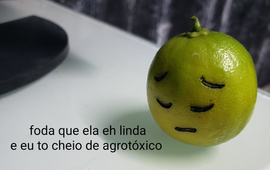 ExaltaSamba - DVD 2009 Completo - Ilha da Magia tweet media