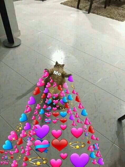 KsenyHappy's tweet photo. @YellPie @jebs_twt @hiatusisntexist @st_pie_ @314lotka @mary_goncharuk @futtttssss ооооооо, как мило
*передаю обнимашки на расстоянии* https://t.co/9xkBCevErH