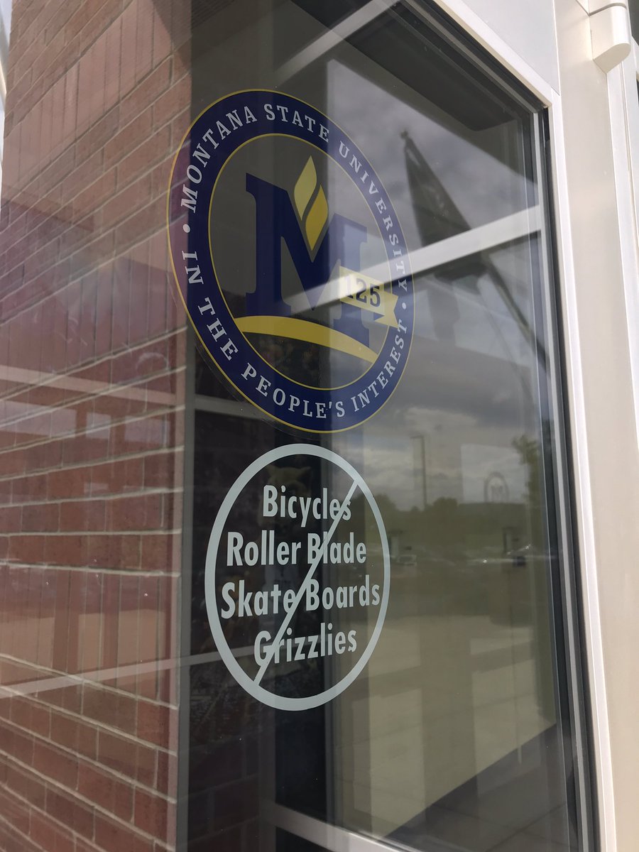 Lauren Chauvin tweet media