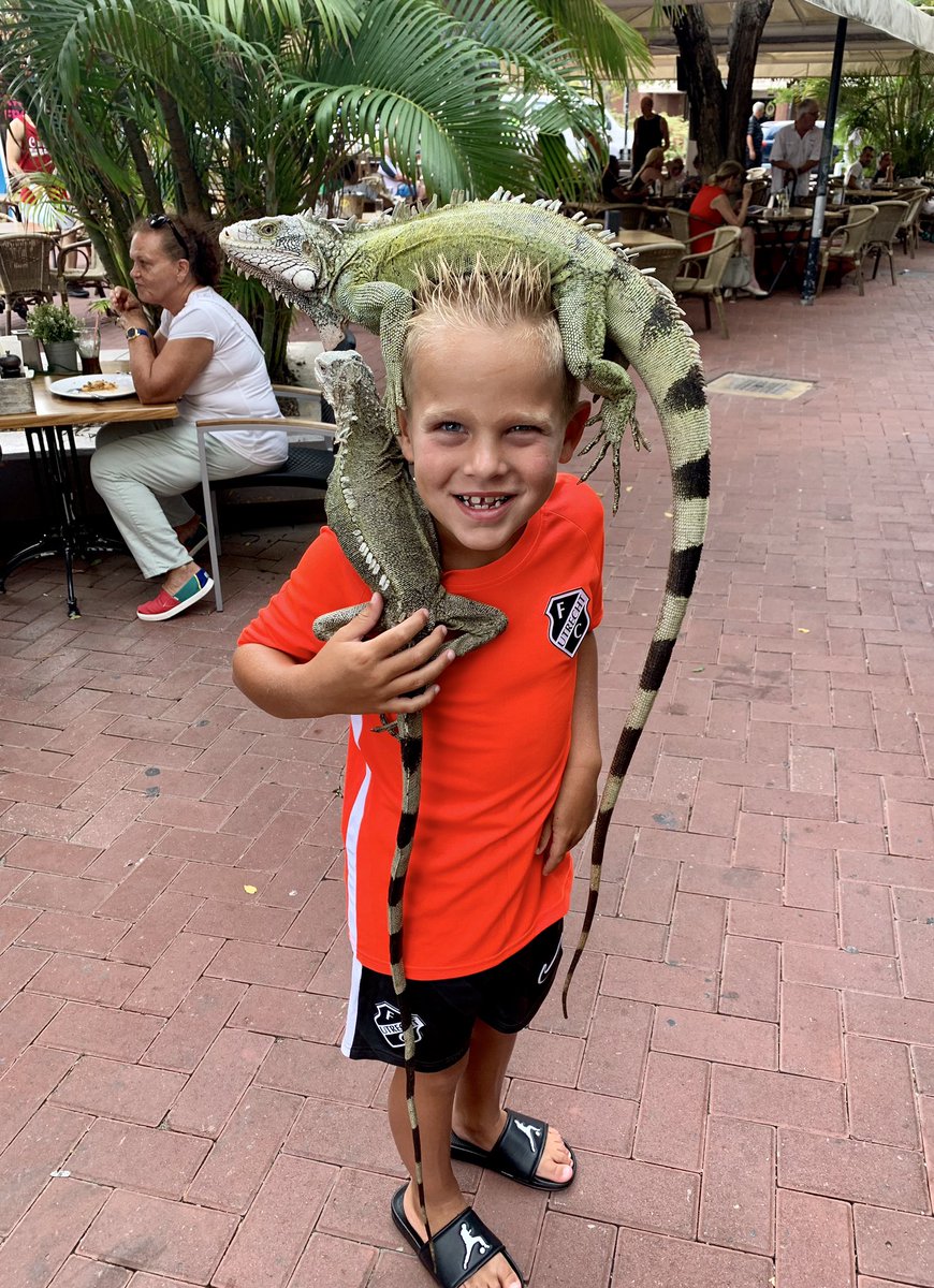 Lennox met zijn vrienden🦎☀️🌴 #FCUtrecht