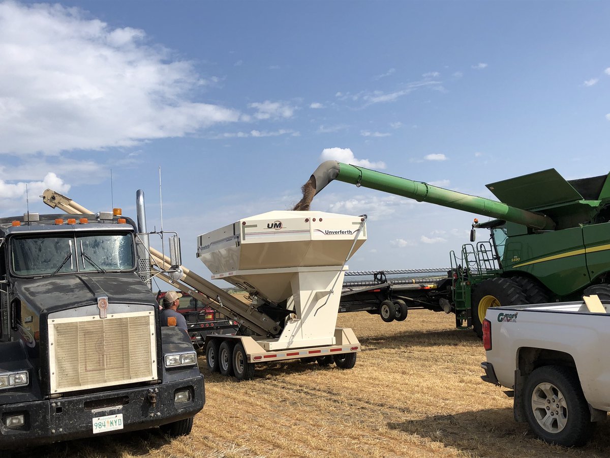 SeCanLauren's tweet photo. First #GmacsLuckyLake trial coming off near Demaine #Sask #lentils #trial19 #harvest19 https://t.co/w8LKRnGVx1