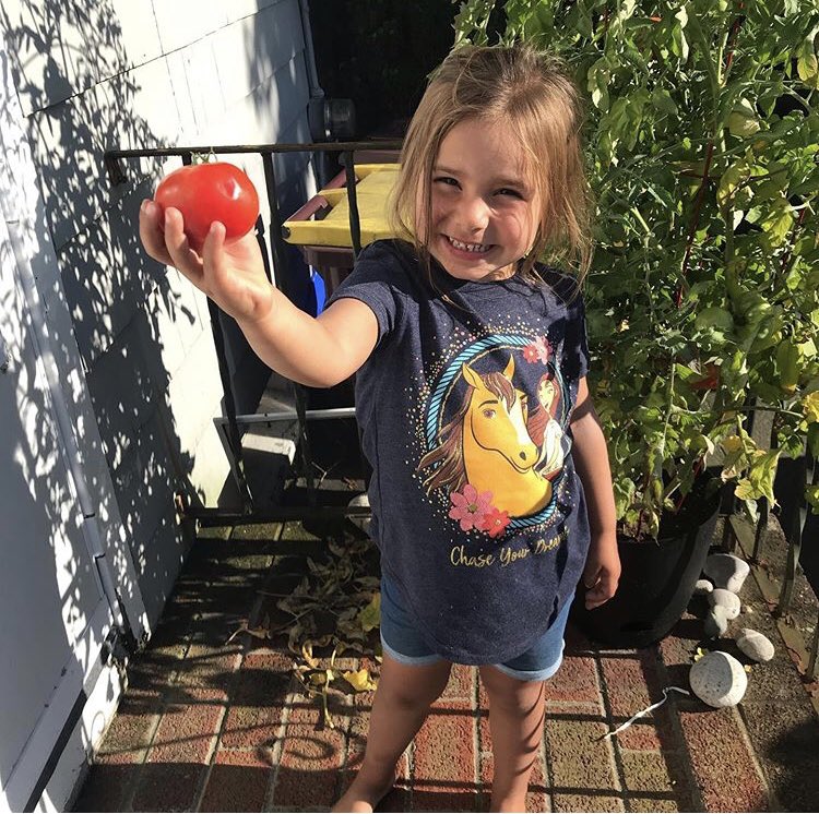 Old Colony Garden tweet media