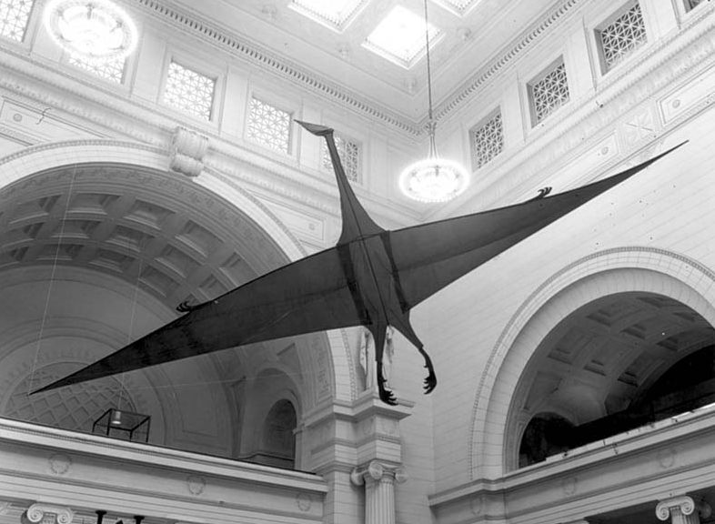 Field Museum tweet media