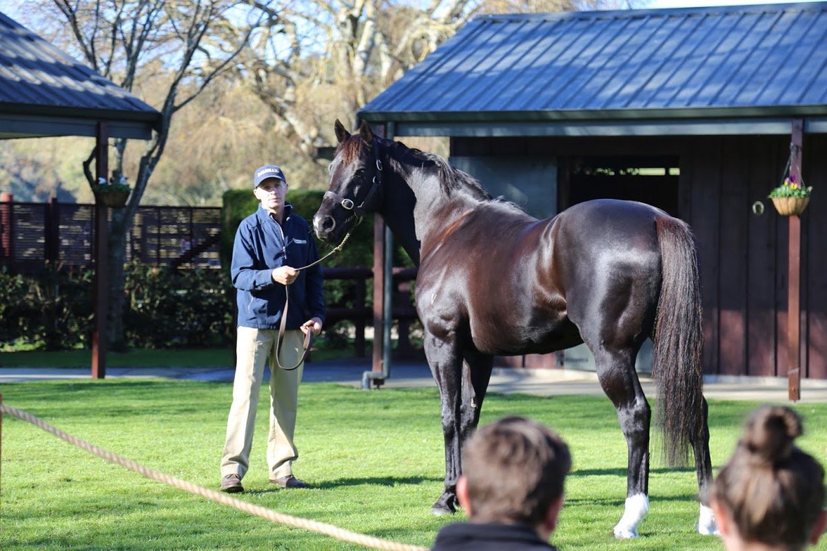 brighthillfarm's tweet photo. REMINDER that today we are hosting the launch of our NEW SIRE, #EMINENT.
What better way to end the working week than to join us this afternoon at Brighthill Farm 2PM for some light refreshments. Other stallions that will be on show are #PREFERMENT, #DALGHAR & #PERFECTLYREADY. https://t.co/jp4dFOnnWk