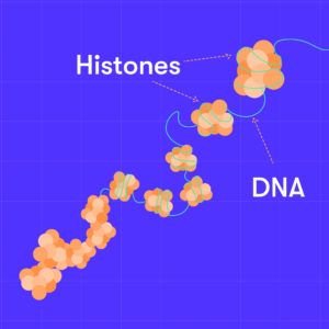NanoVisionIO's tweet photo. In the last installment of our hypertension series, we explore the relationship b/t particulate matter and our genetics. If you’ve ever wanted to know how your environment alters your DNA, don’t miss this post! 🧬 https://t.co/sg832W61NU https://t.co/8gDhObQ6PG