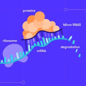 In the last installment of our hypertension series, we explore the relationship b/t particulate matter and our genetics. If you’ve ever wanted to know how your environment alters your DNA, don’t miss this post! 🧬 buff.ly/31FyNH9