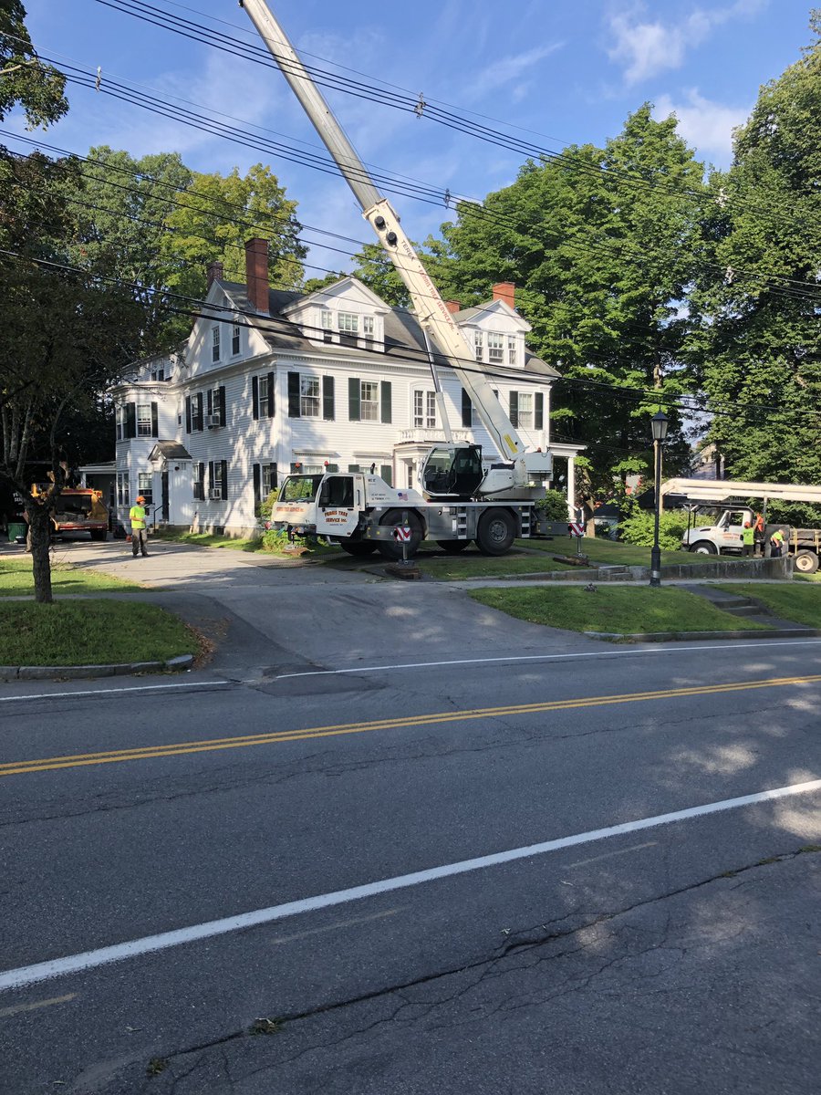 FerrisTreeSvc's tweet image. Big tree, small front yard?  We have the equipment for that!