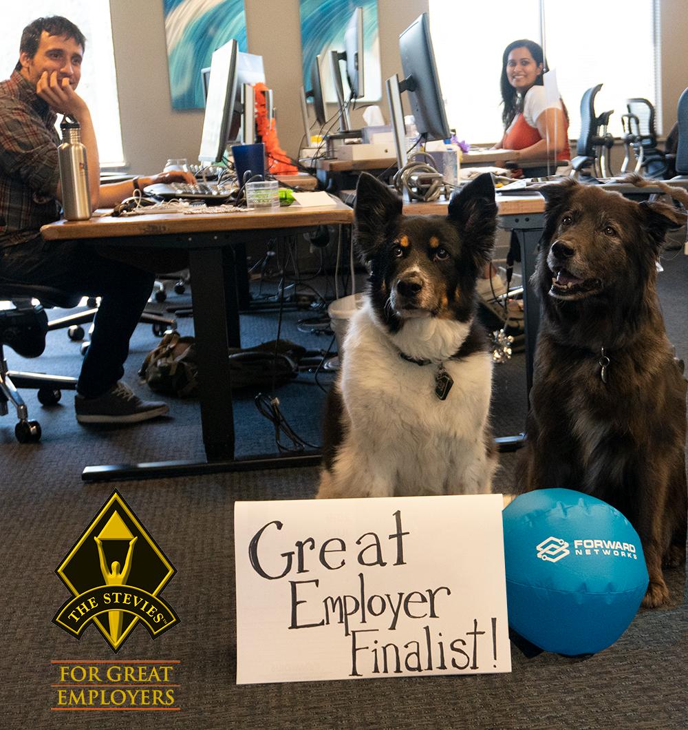 FwdNetworks's tweet photo. Forward Networks announced as 2019 Stevie® Awards for Great Employers Finalist! (brought to you by the office-dogs, Chloe and Kona) https://t.co/VegA3hy4NQ https://t.co/J31AILkoaX