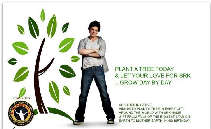 Misty4SRK's tweet photo. @iamsrk Hi darling. How's your day been? Have you been independent? Seen pics of your kids, but not you 🤨 Felled a tree today. It was diseased & in danger of falling on my art studio😯 But no worries, cos I'm gonna plant my #SRKTree which has grown quite big there instead 🌿❤️U https://t.co/BiBouRNoAP