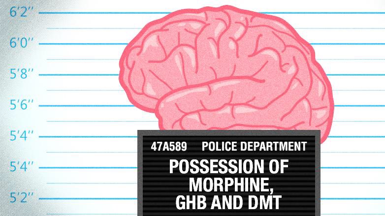 DMT has been very frustrating for scientists to study because it’s highly illegal. But it’s found in many living things, including YOU. How can the government make something natural illegal? Are they trying to keep us from expanding our minds?