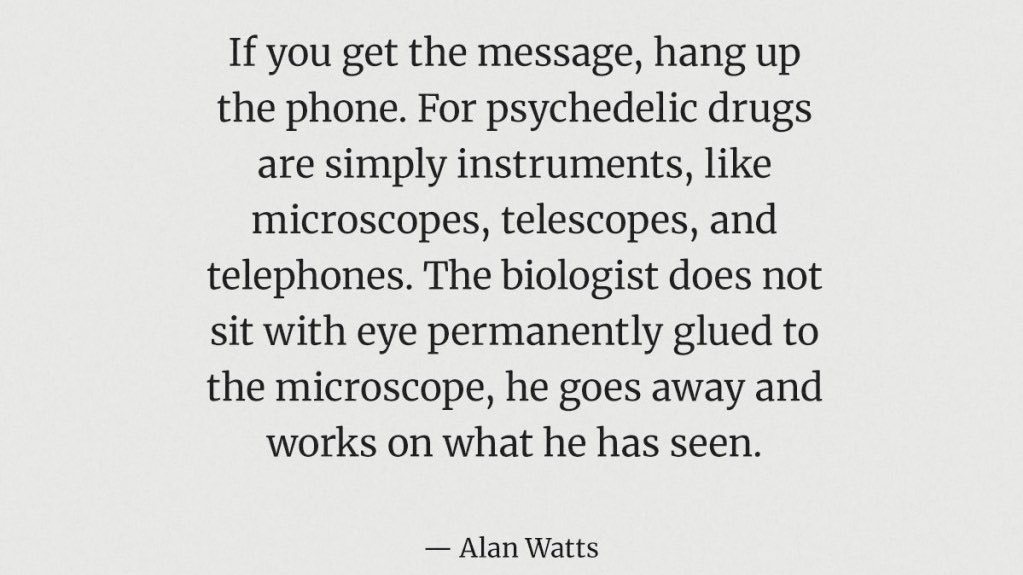 This is not to say that I advocate going out and doing a bunch of drugs. I often think of how Carl Jung told us to “beware of unearned wisdom” when this topic comes to mind. I’d also like to end with this quote from Alan Watts. Thanks for reading 