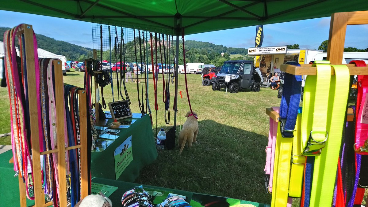 Painswick Pets tweet media