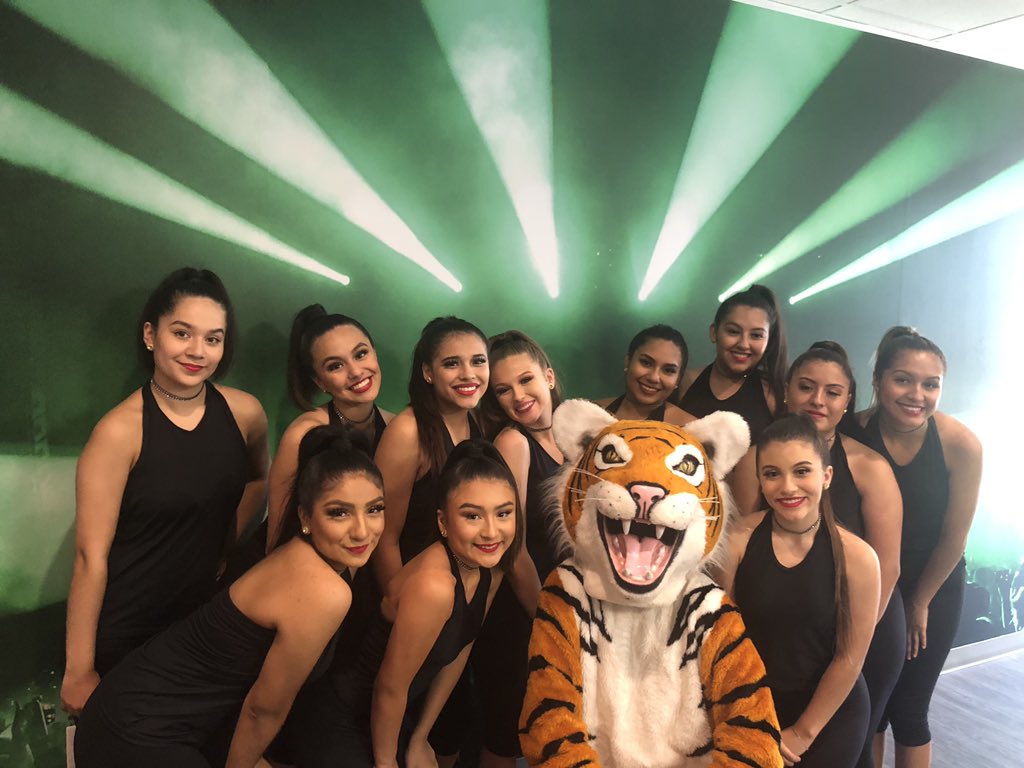 Toy Tigers 💃 tweet media