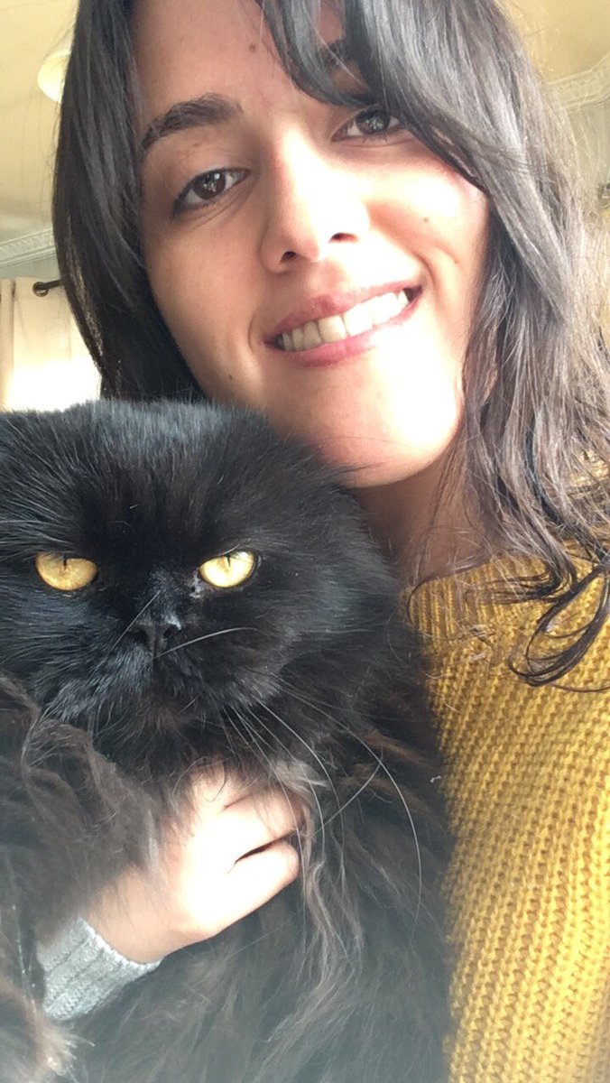 Fernanda tweet media