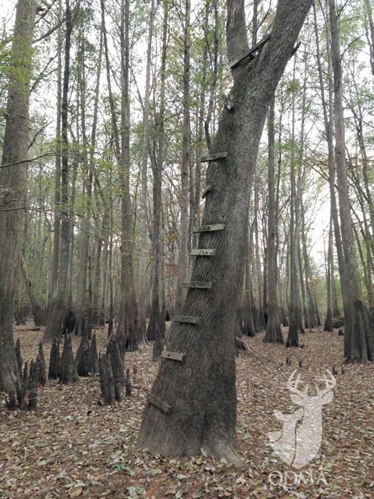 Here's to all of those who remember when 'hanging a stand' involved a hammer, nails and lumber.