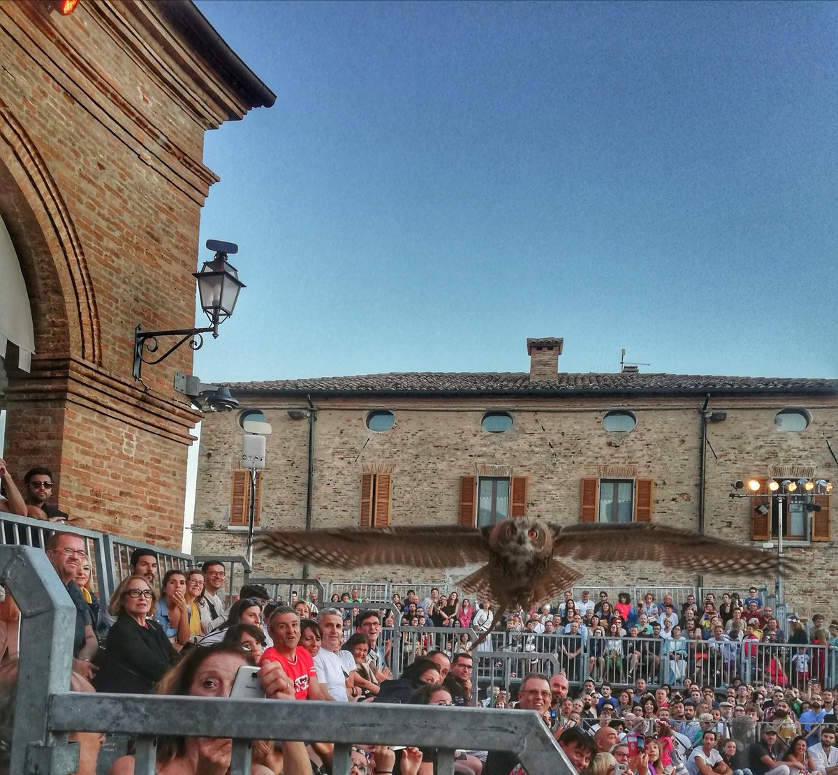 StefProp's tweet image. Falconieri del re al palio de lo daino. Gufo reale italiano.