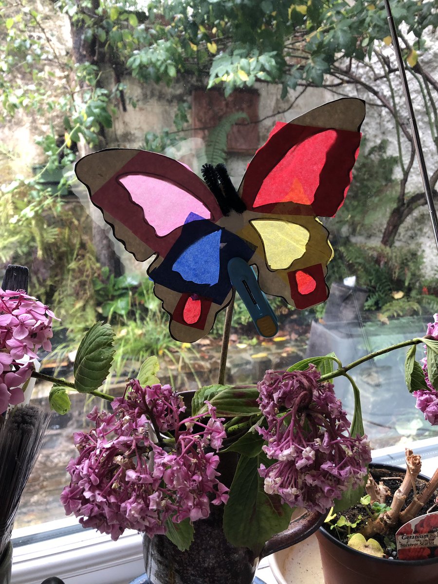 OutdoorHerts's tweet photo. This is a great rainy day activity, butterfly dream catchers🦋 

#butterfly #suncatcher https://t.co/GQWKDEPVkC