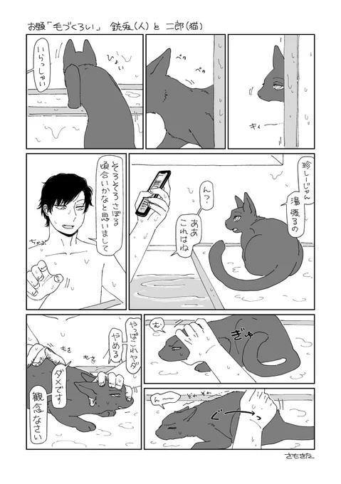 人と猫の銃二でお題「毛づくろい」 