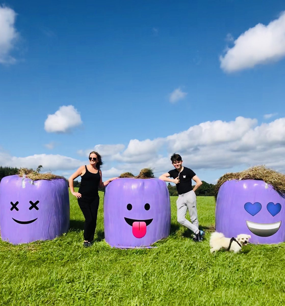 LadyAngelaT's tweet photo. @planetoffers #PlanetOffersSnaps cool 😎 big purple 💜bales of hay! https://t.co/H46MqVaDn8
